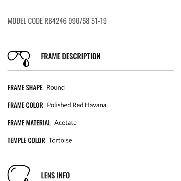 Ray-Ban Tortoise Shell Sunglasses - Picture 6 of 6